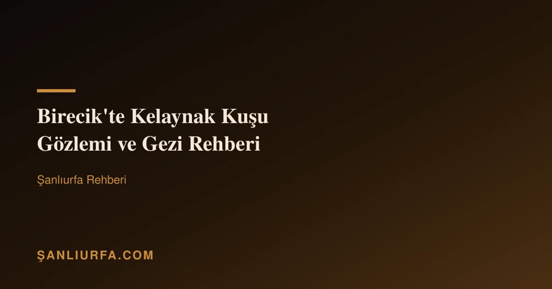 Birecik'te Kelaynak Kuşu Gözlemi ve Gezi Rehberi