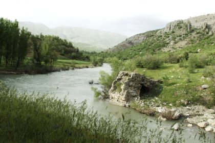 Sanlıurfa’nın Bahar Çiçekleriyle Dolu Yolları (59 karakter)