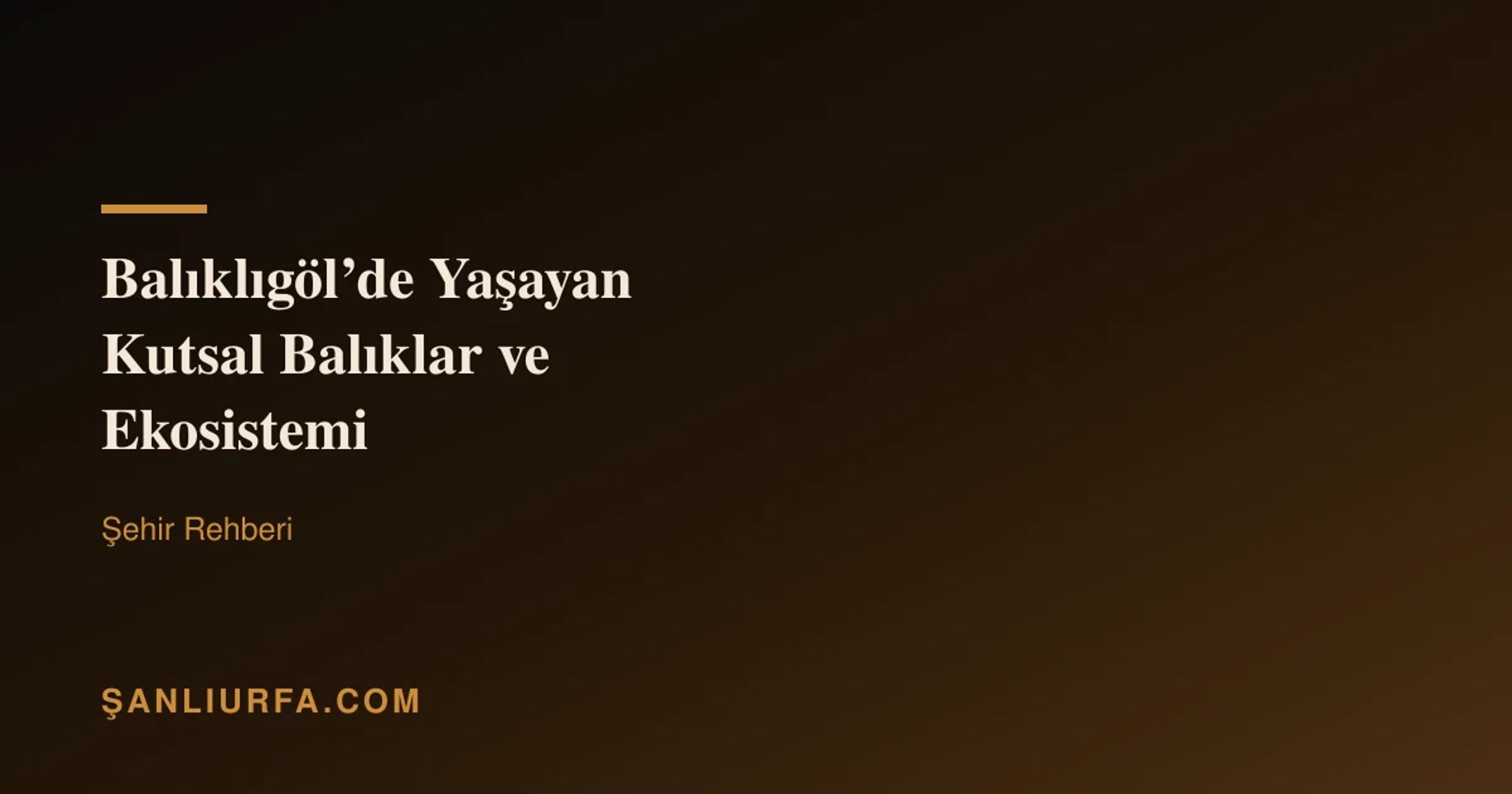 Balıklıgöl’de Yaşayan Kutsal Balıklar ve Ekosistemi