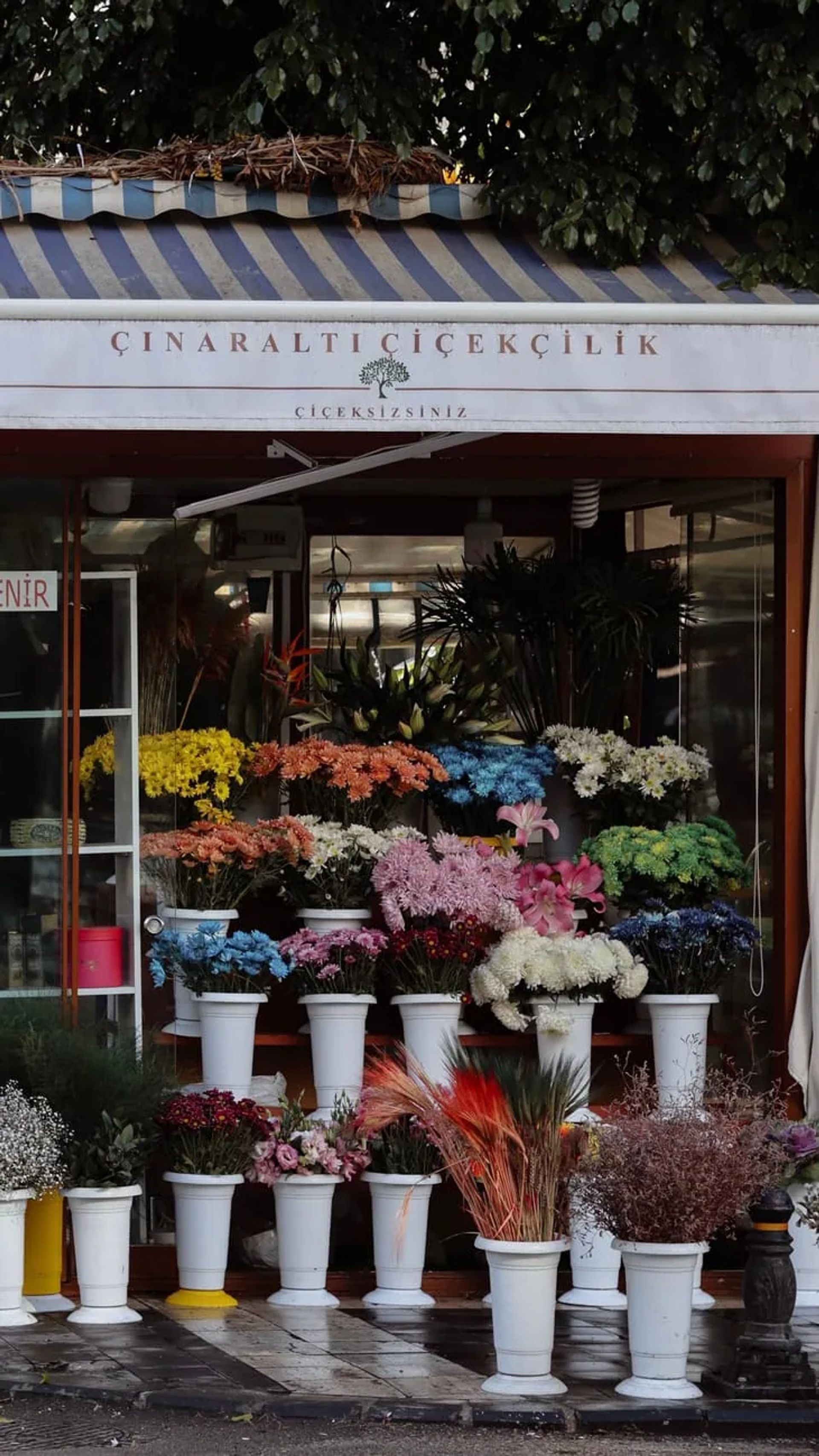 Şanlıurfa Çiçekçilik ve Bitki Bahçesi