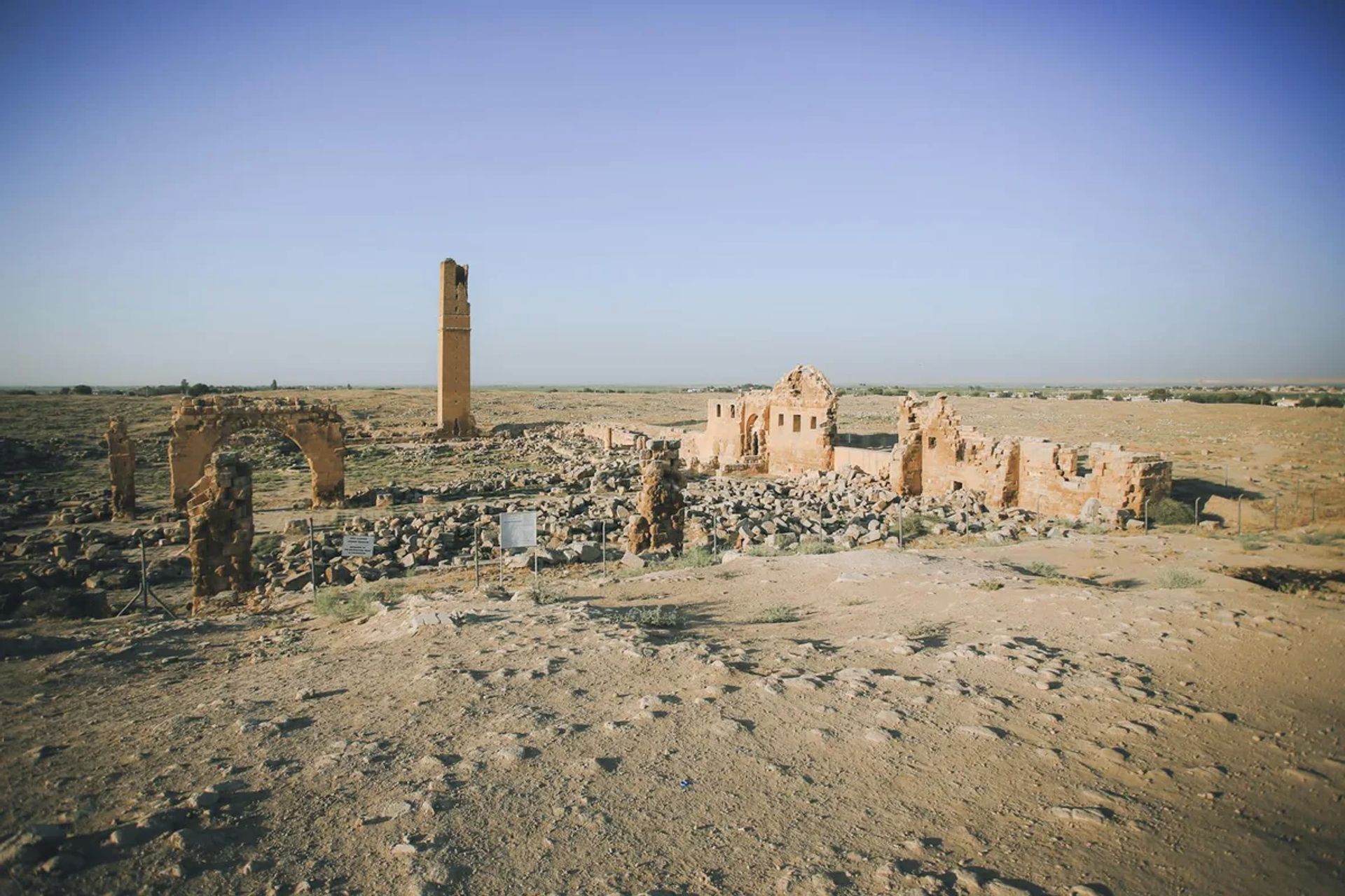 Şanlıurfa Çöl Safarisi ve Harran Ovası Gece Gözlem Rehberi