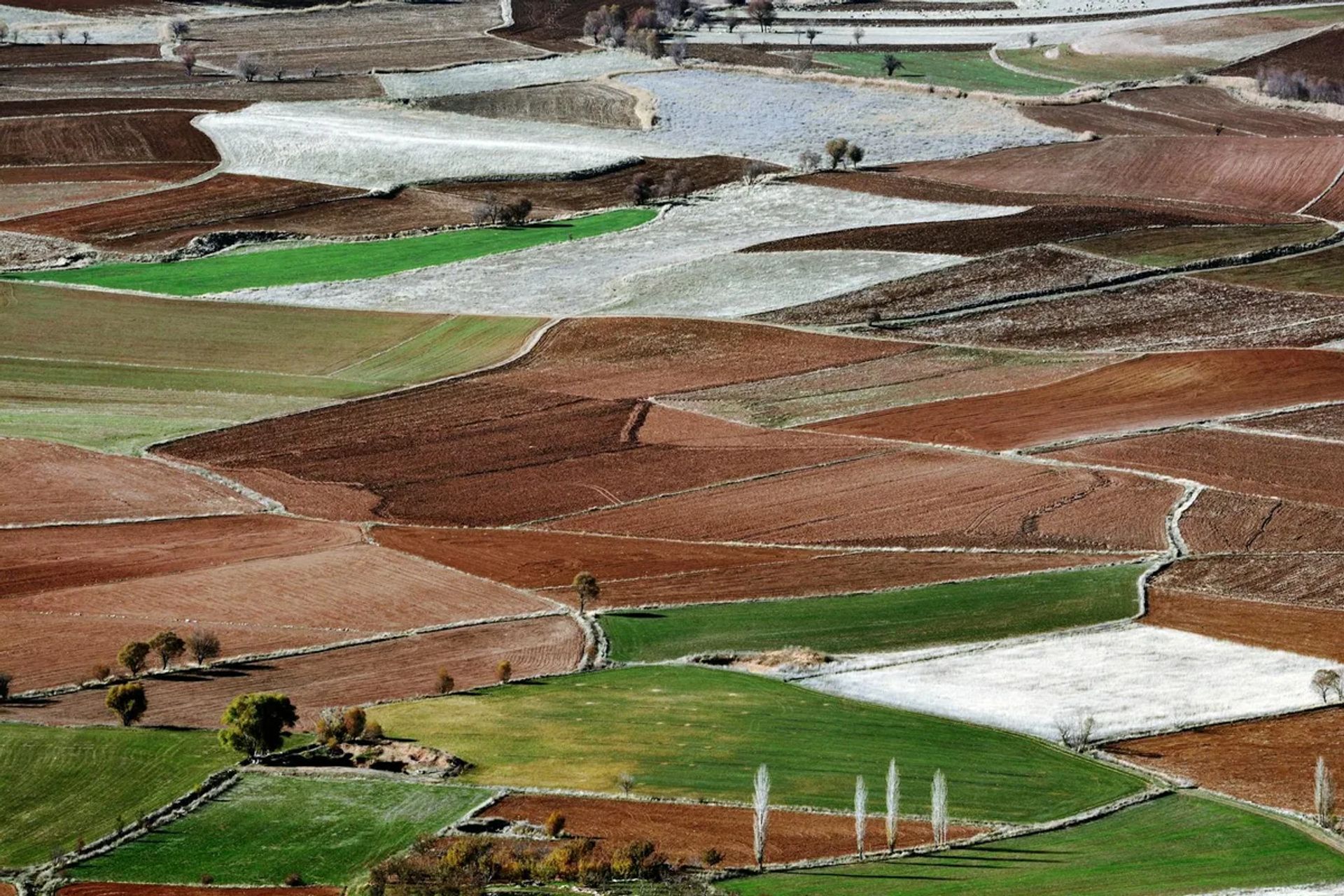 Şanlıurfa'da Doğa Fotoğrafçılığı: Kuş Gözlemi, Makro ve Peyzaj Çekimleri