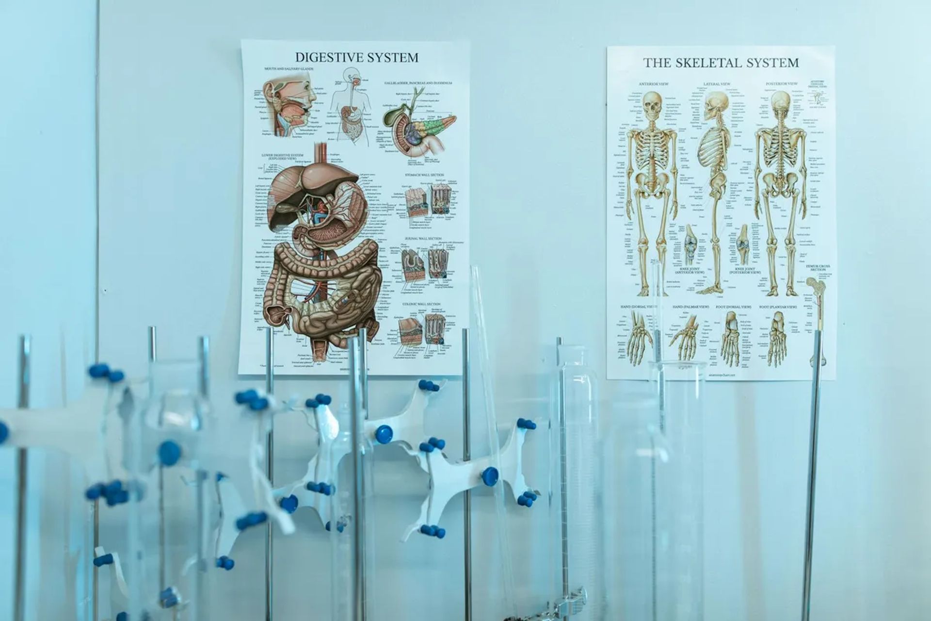 Şanlıurfa'da Gastroenteroloji ve Sindirim Sistemi Uzmanları Rehberi