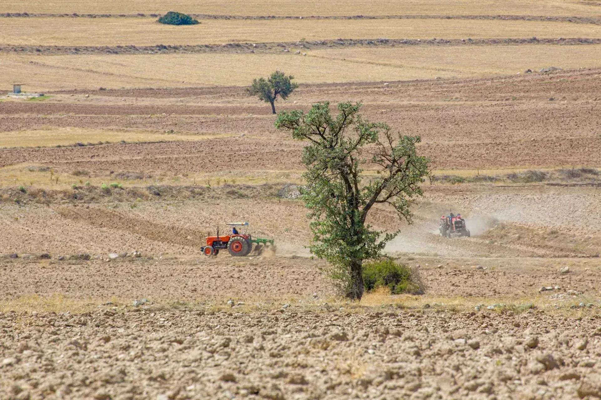 Şanlıurfa'nın Tarım Potansiyeli ve Verim Analizi