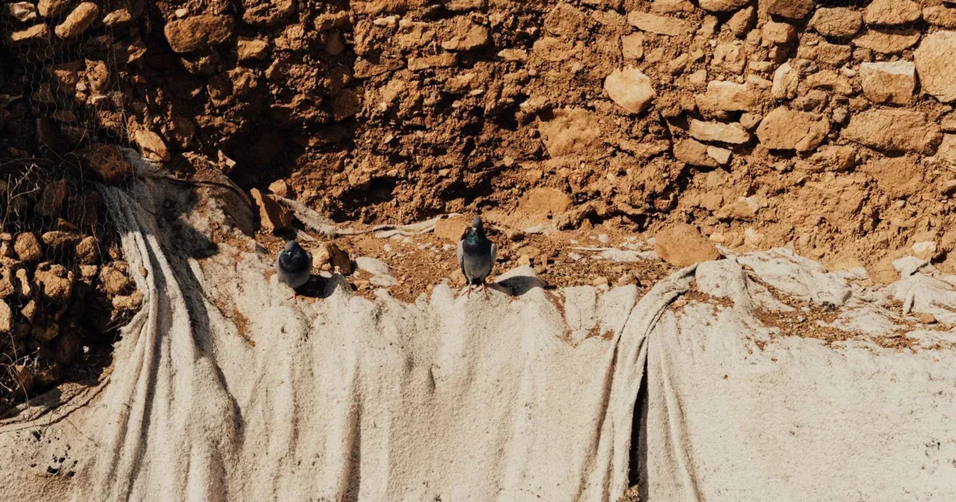 Şanlıurfa Kuş Çeşitleri ve Kuş Gözlemciliği