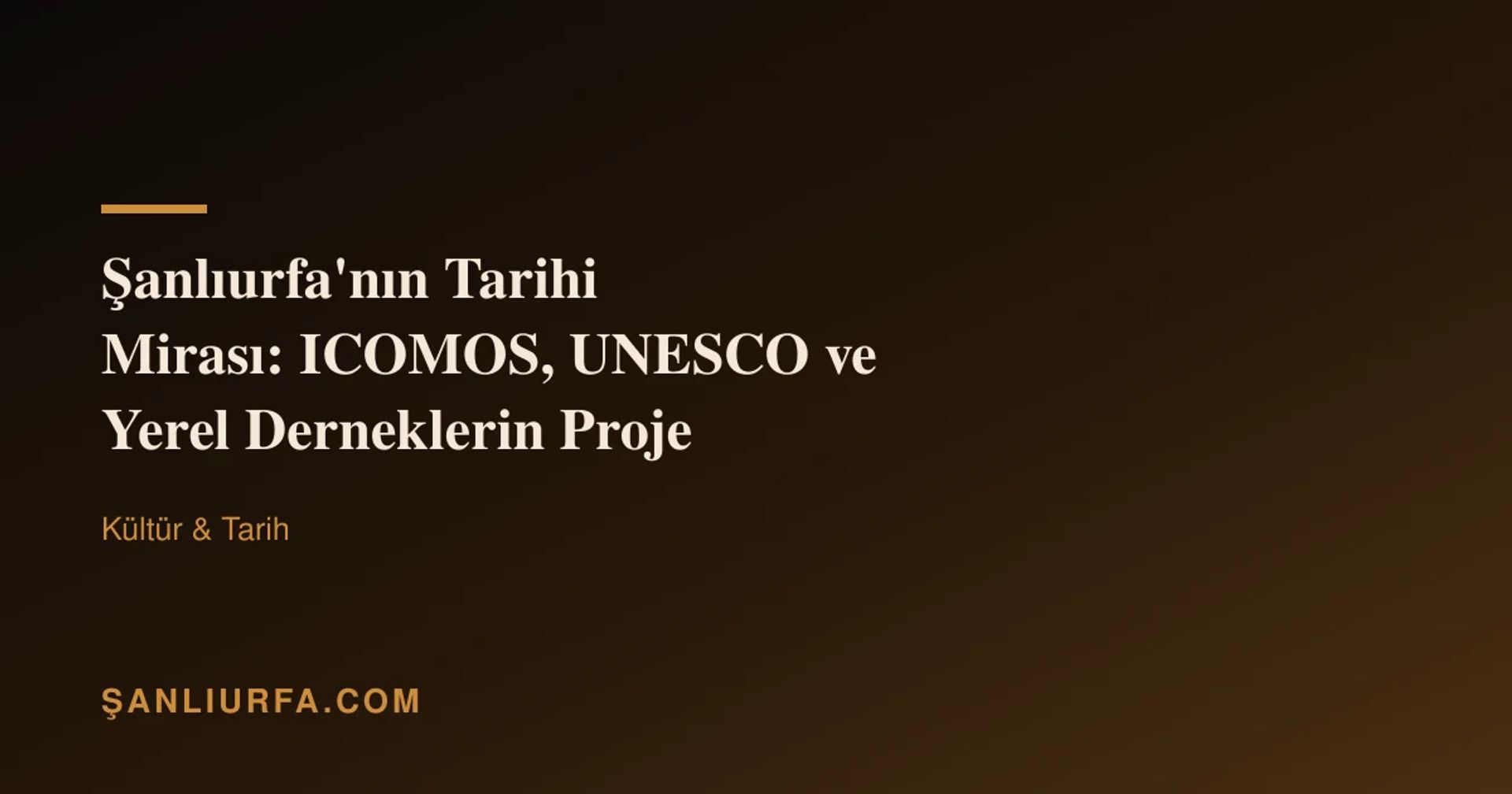Şanlıurfa'nın Tarihi Mirası: ICOMOS, UNESCO ve Yerel Derneklerin Proje