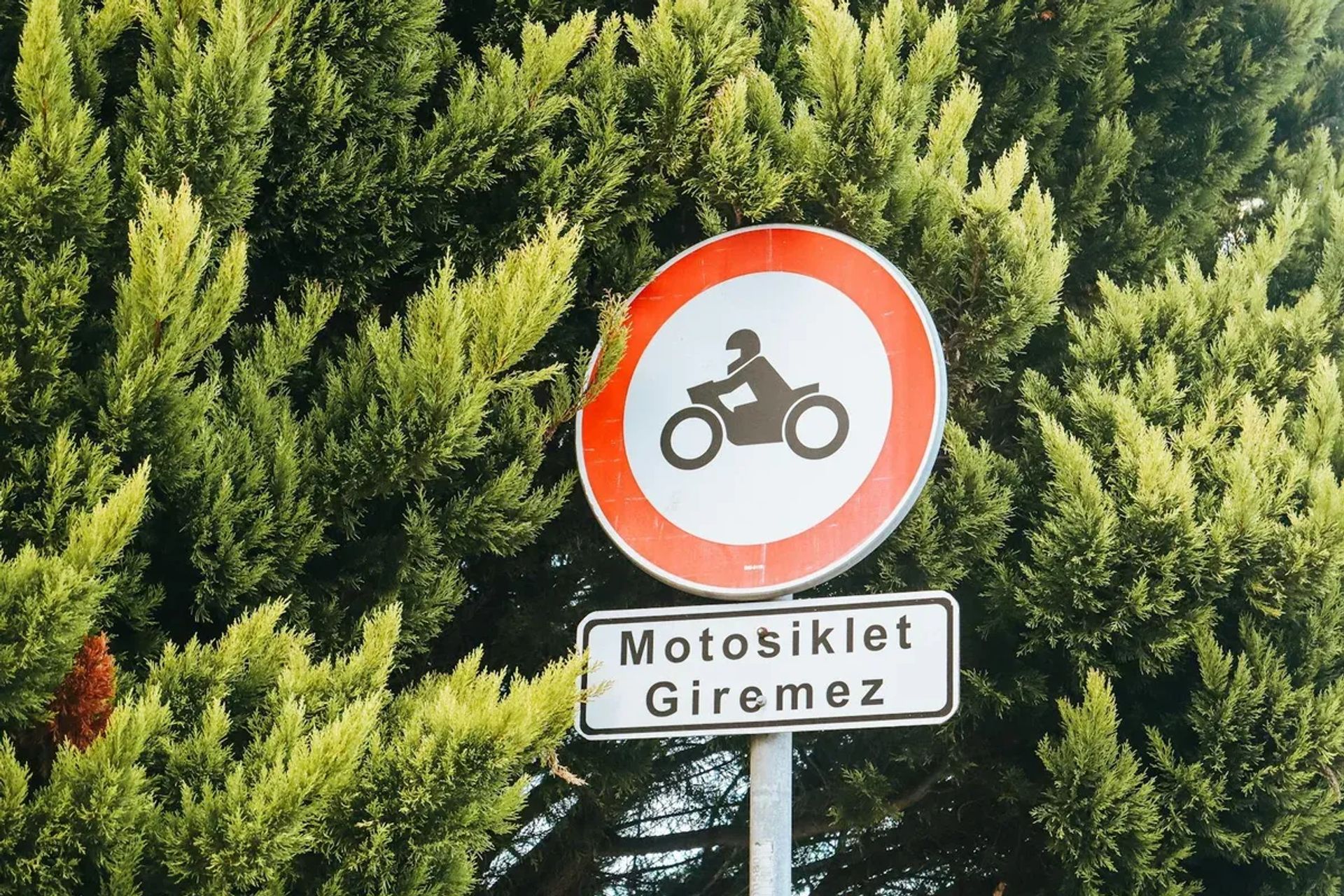 Şanlıurfa'da Motosiklet: Şehir Gezisi ve Kiralama Rehberi