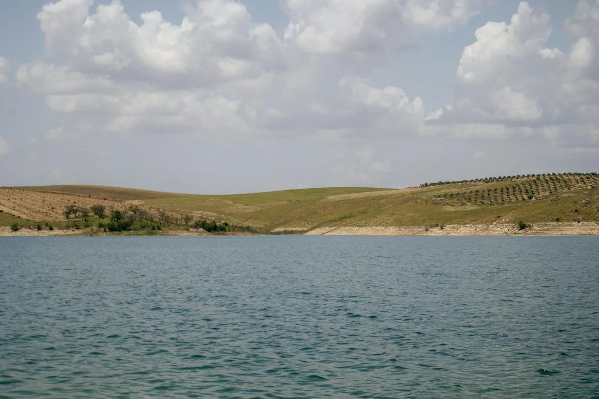 Şanlıurfa Sulak Alanları ve Kuş Gözlem Noktaları: Bozova, Ceylanpınar Doğa Rehberi