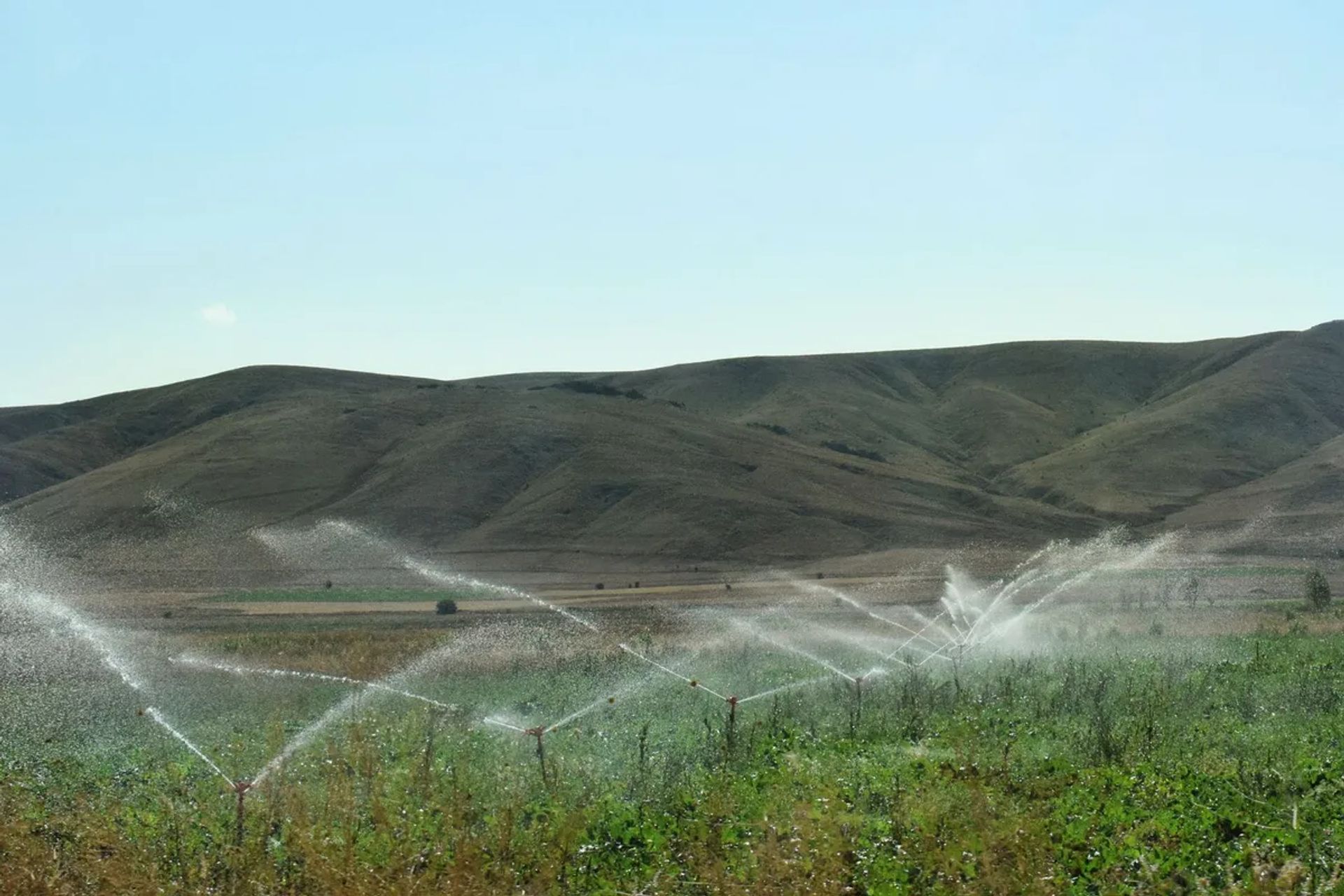 Şanlıurfa GAP’ta Sulama Devrimi: Çiftçilerin Deneyimleri