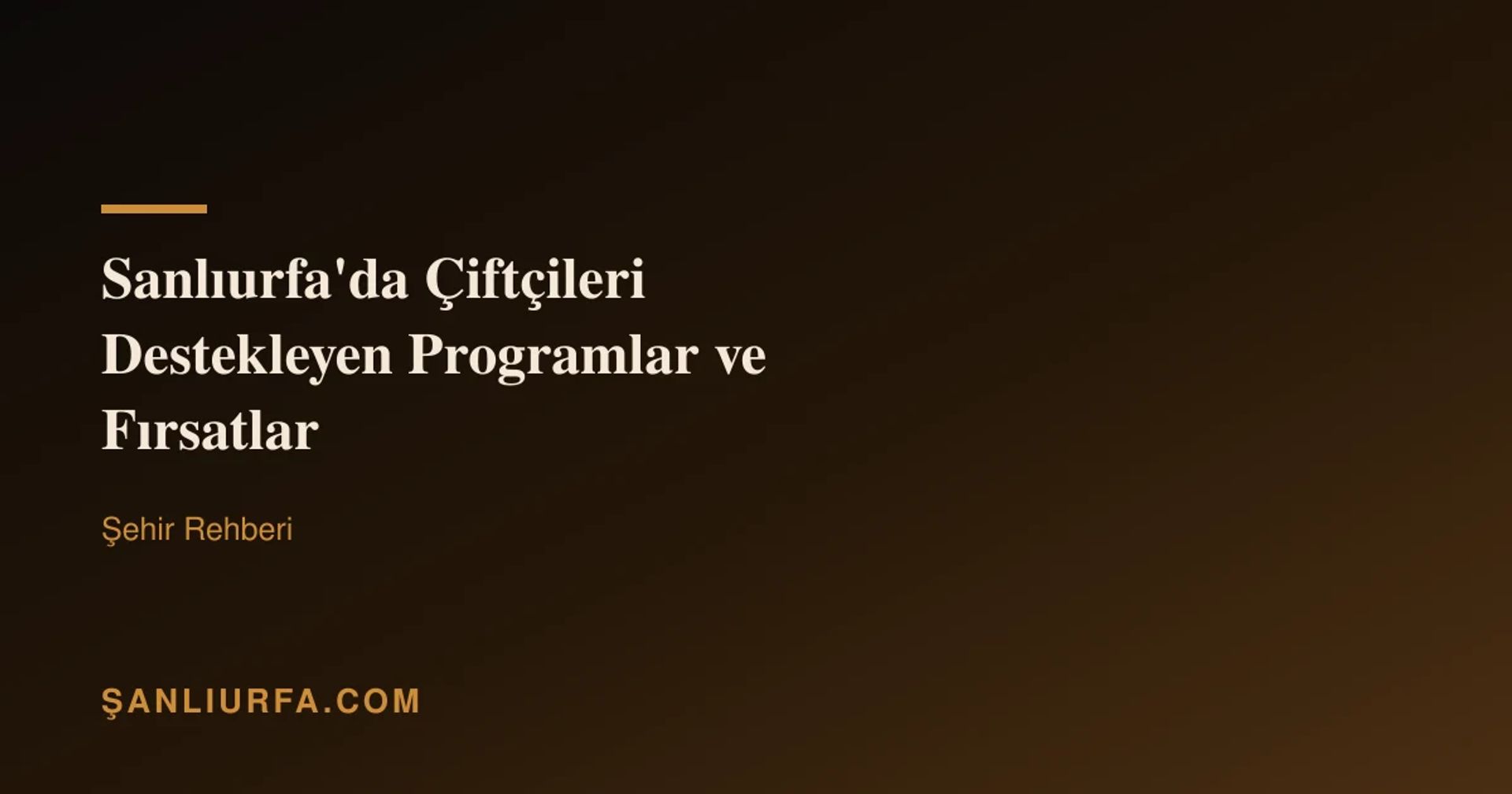 Şanlıurfa'da Çiftçileri Destekleyen Programlar ve Fırsatlar