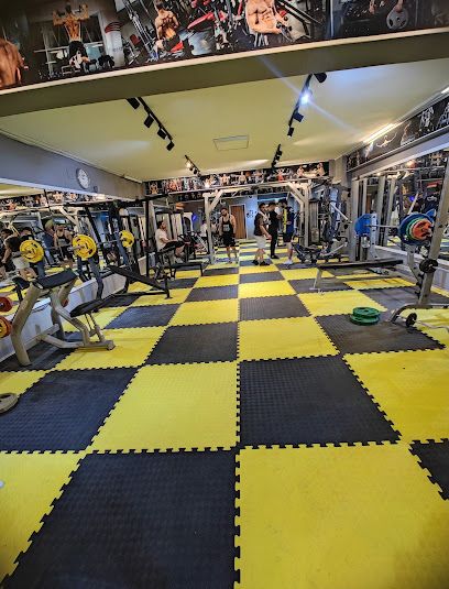 Alfa Fitness Center