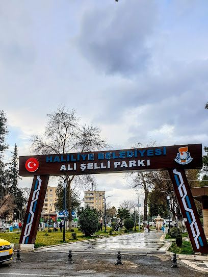 ALİ ŞELLİ PARKI