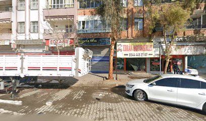 Aslan Oto Tamir