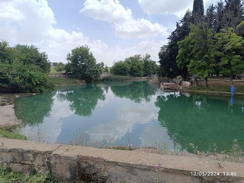 Atatürk Parkı ve Botanik Bahçesi
