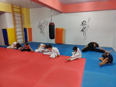Dima Kids