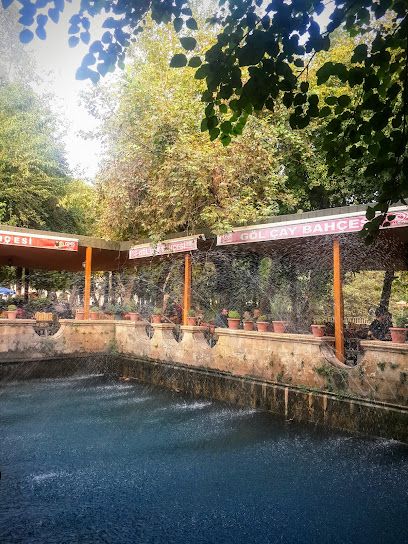 Göl Çay Bahçesi