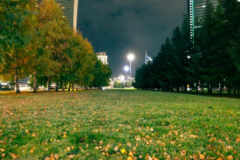 Haliliye Kent Parkı