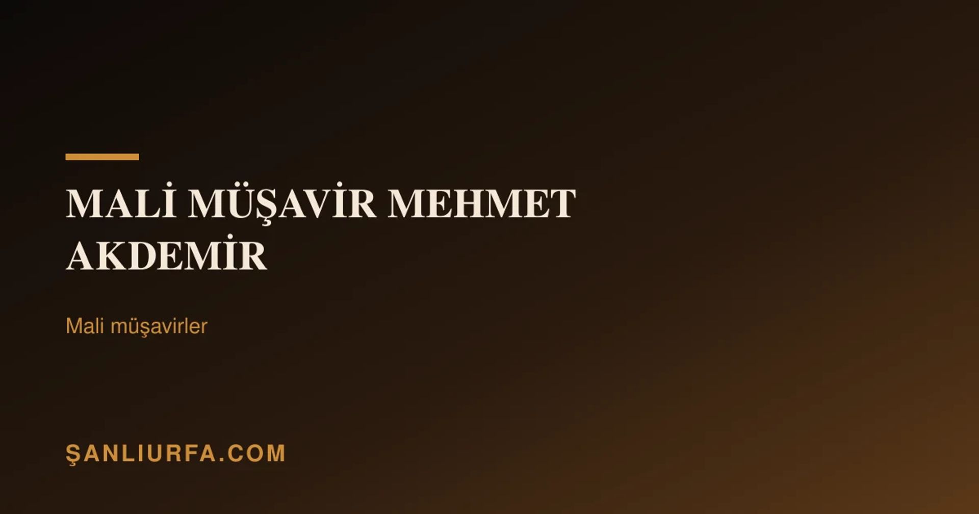 Mali Müşavir Mehmet Akdemir