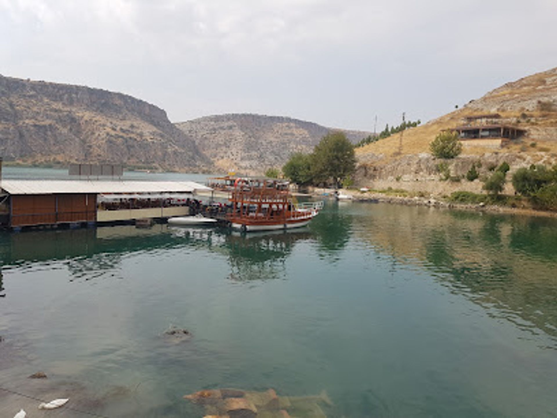 Mavuş Tekne Halfeti
