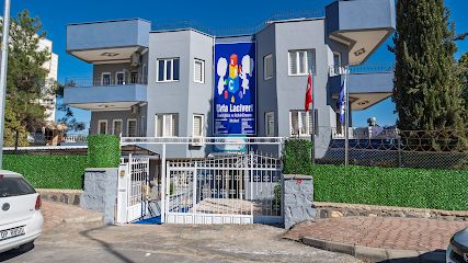 Urfa lacivert rehabilitasyon merkezi