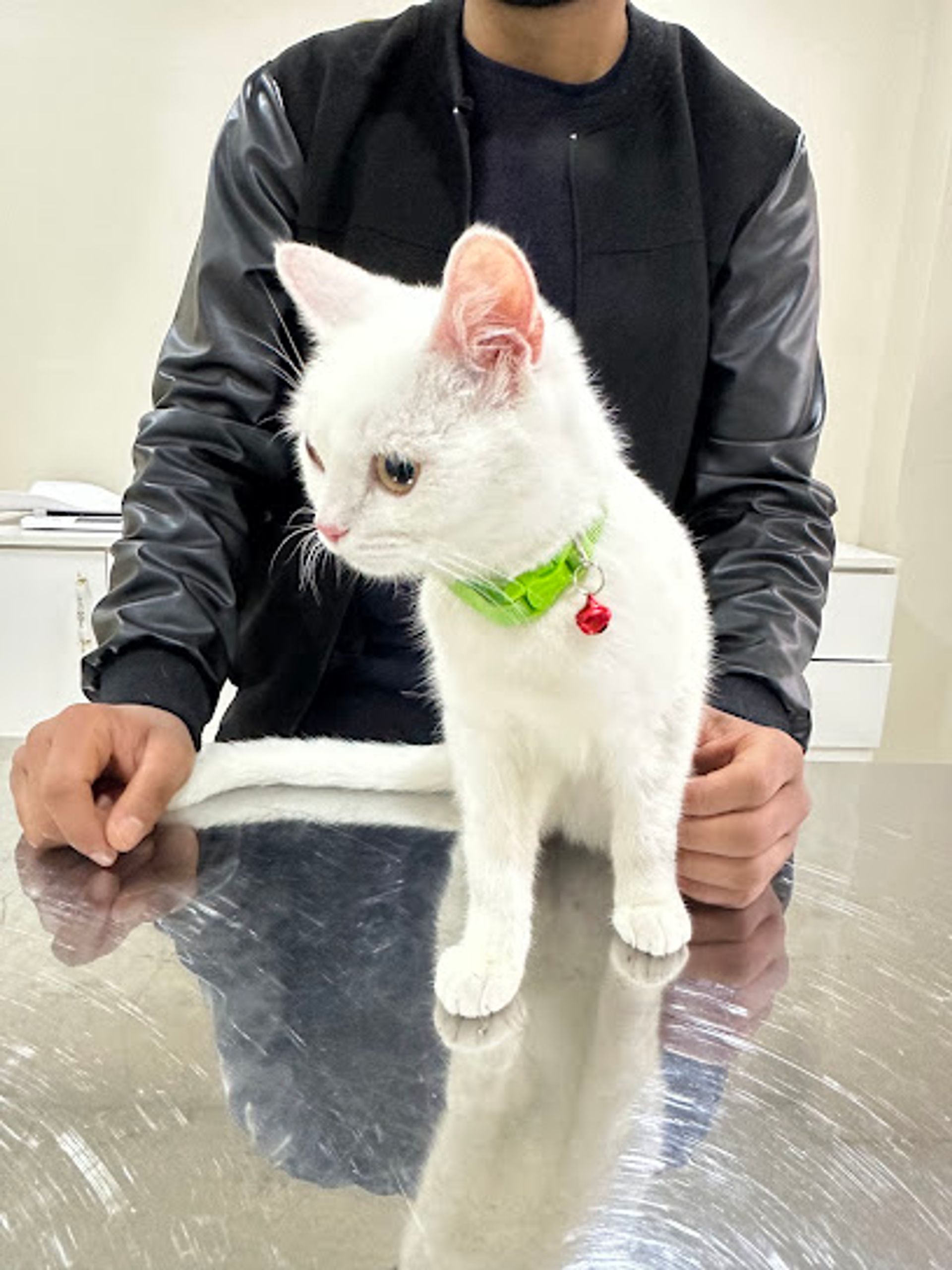 VET LİFE Veteriner Kliniği