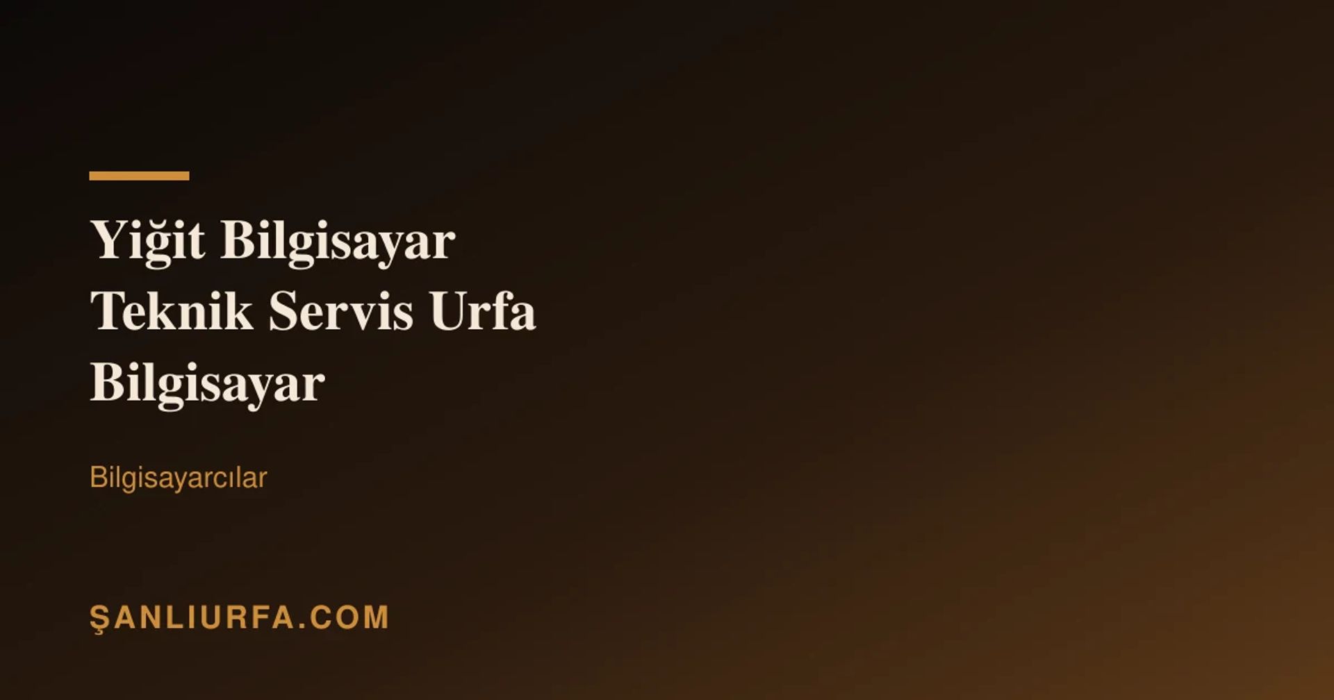 Yiğit Bilgisayar Teknik Servis Urfa Bilgisayar