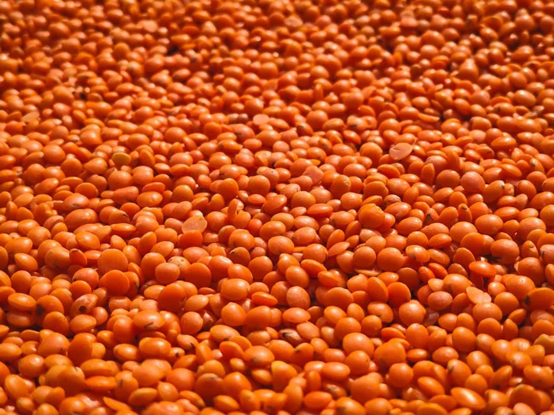 Mercimek Salatası
