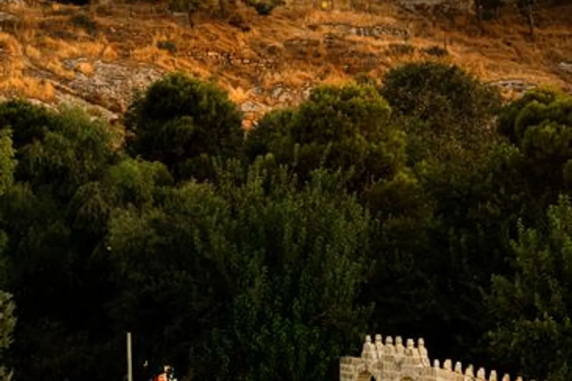 Urfa Vişne Hoşafı