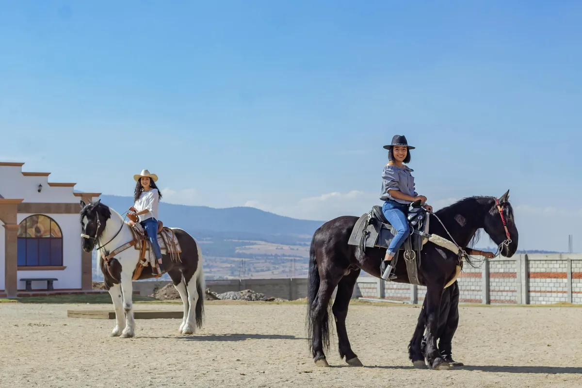 Şanlıurfa'da At Binme, At Çiftlikleri ve Equestrian Sporlar Rehberi