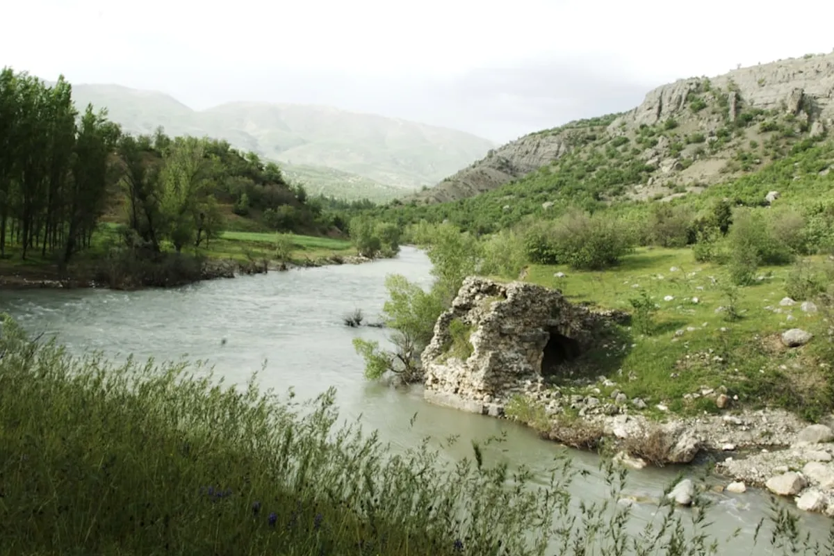 Sanlıurfa’nın Bahar Çiçekleriyle Dolu Yolları (59 karakter)