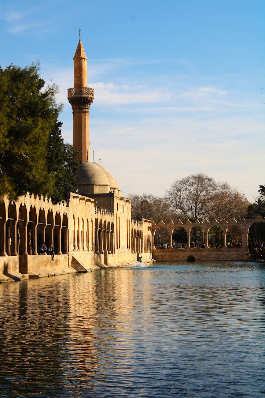 Sanlıurfa’nın Nadir Bitkileri: Korunması Gereken Türler