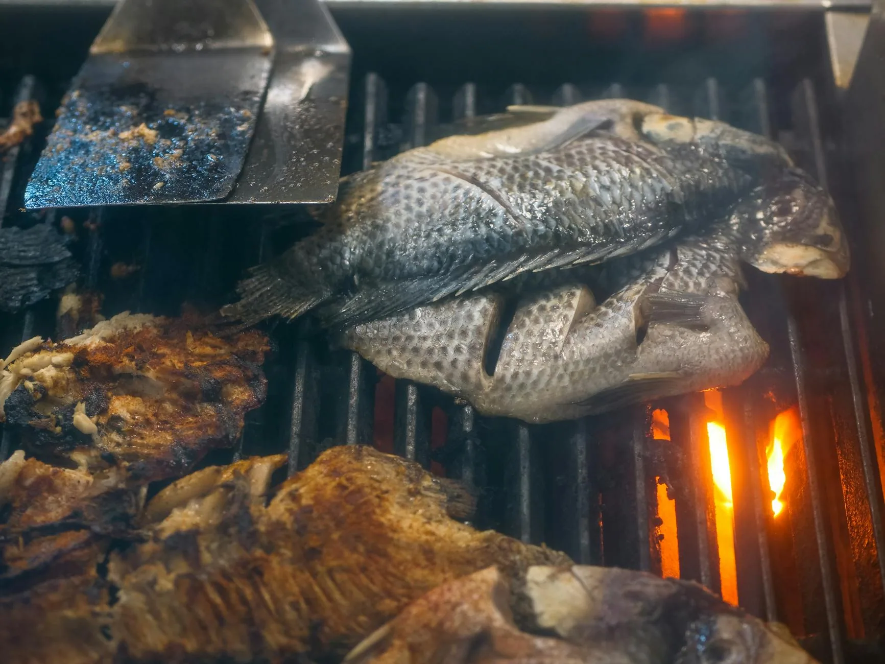 Şanlıurfa'da Balık Restoranları ve Fırat Lezzetleri Rehberi
