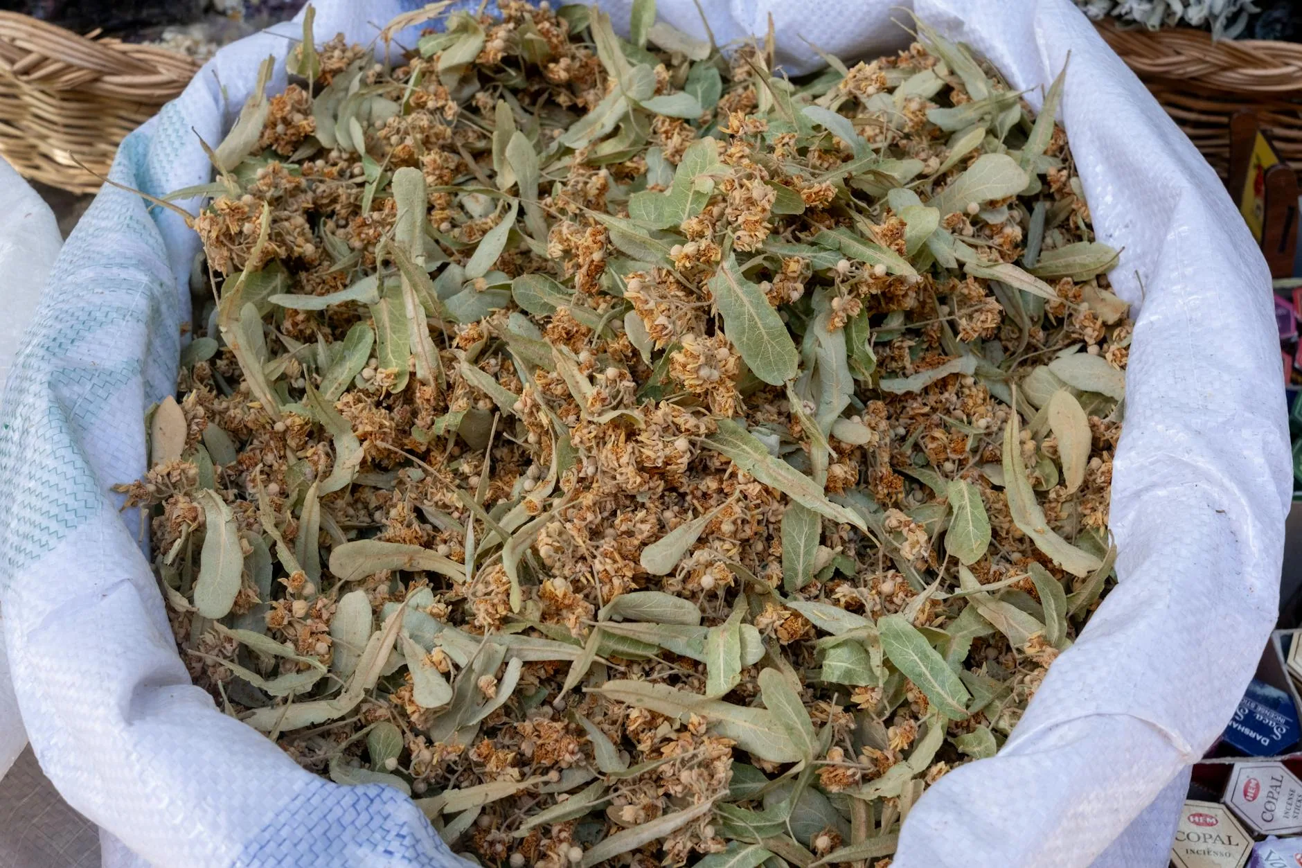 Sanlıurfa'nın Şifalı Bitkileri ve Doğal Sağlık Sırları