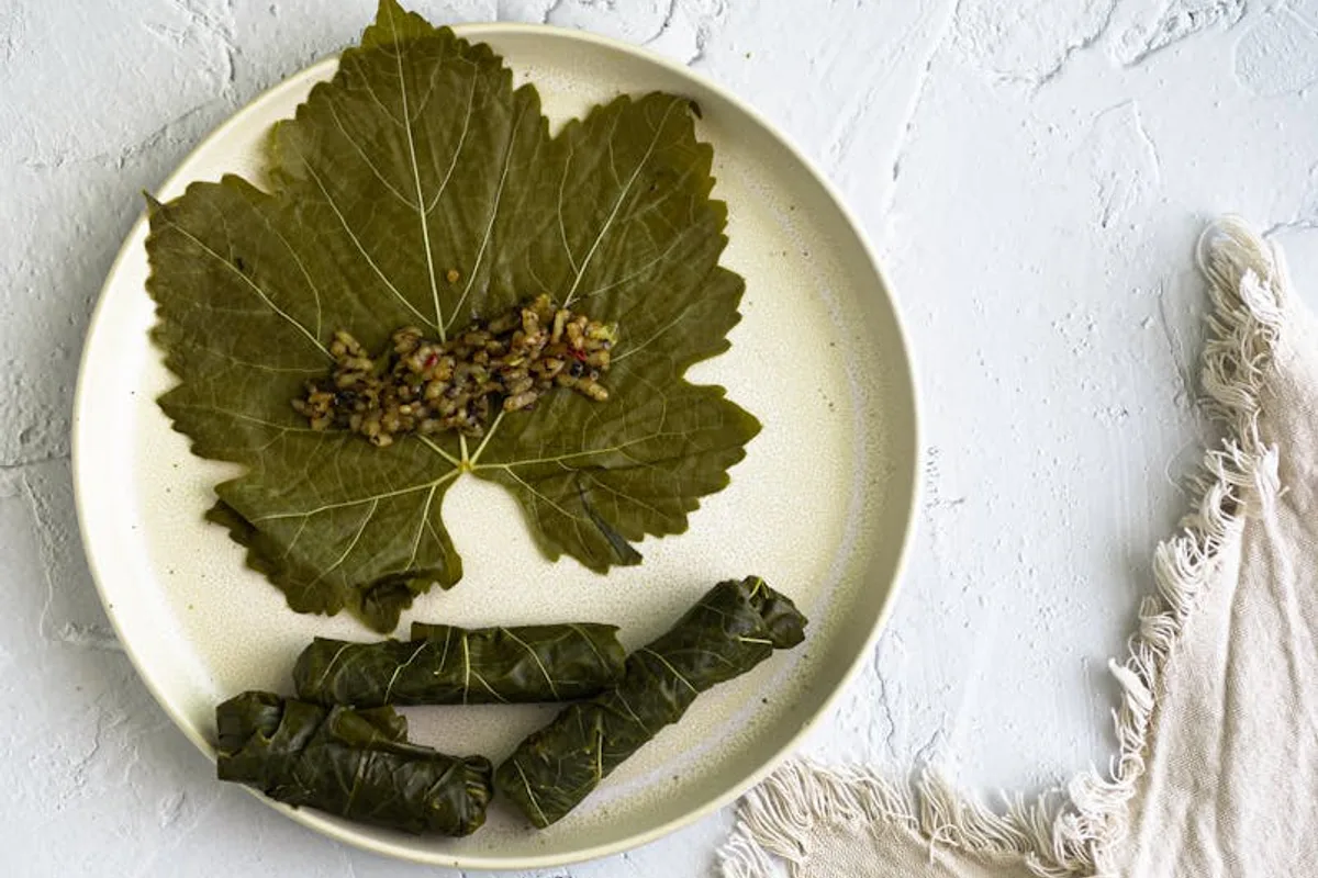 Şanlıurfa Dolma ve Sarma Kültürü: Gelenekten Sofraya