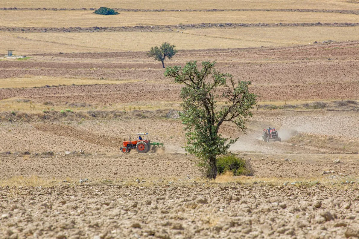 Sanlıurfa'nın Tarım Potansiyeli ve Verim Analizi