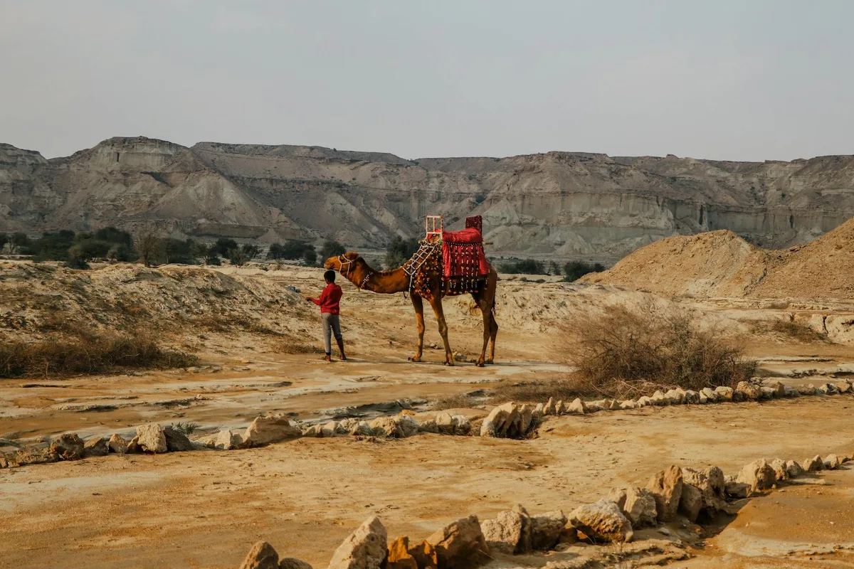 Şanlıurfa ve İpek Yolu: Tarihi Kervan Yolu, Ticaret Güzergahı ve Miras Rehberi