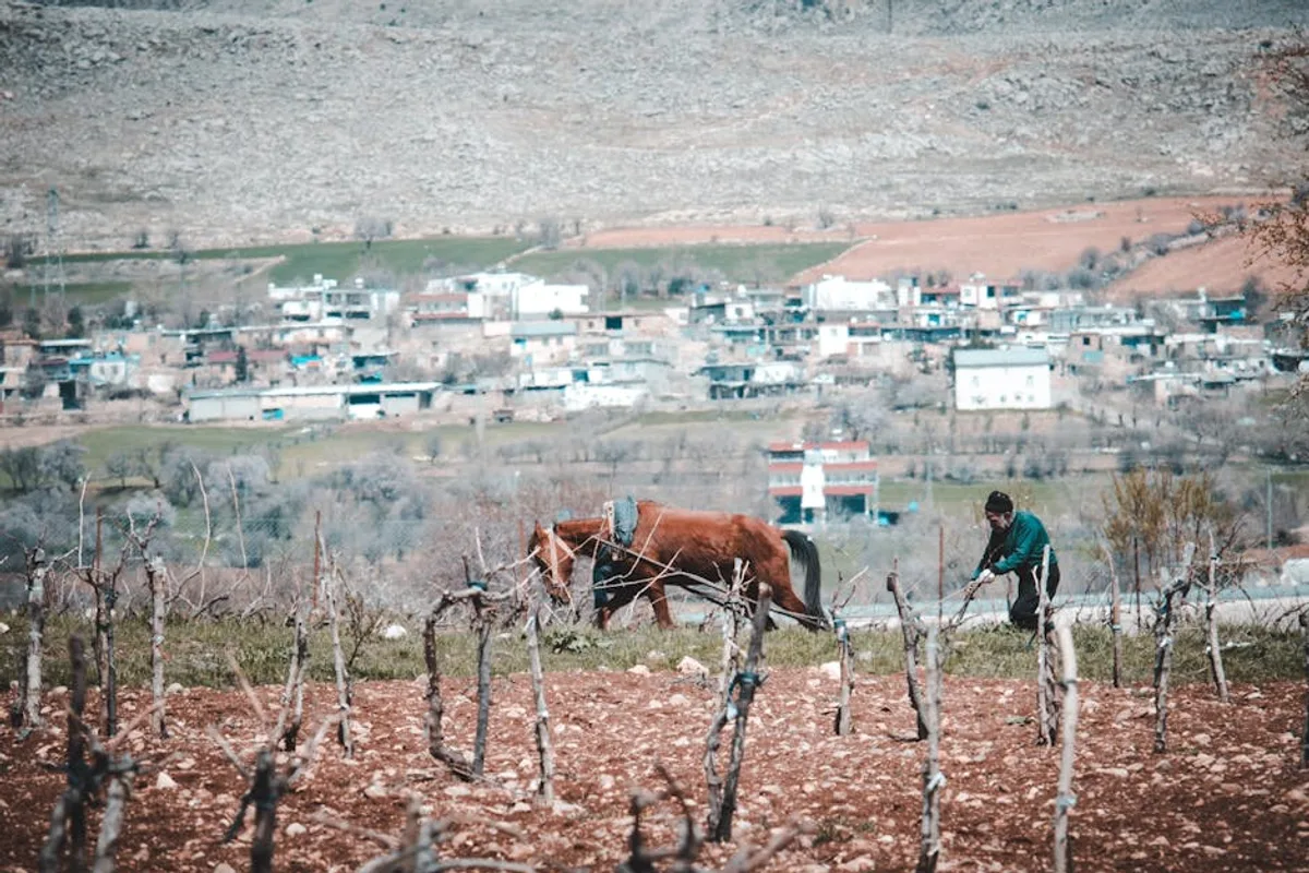 Şanlıurfa Köy Ziyaretleri: Pastoral Yaşam, Doğal Tarım ve Kırsal Keşif