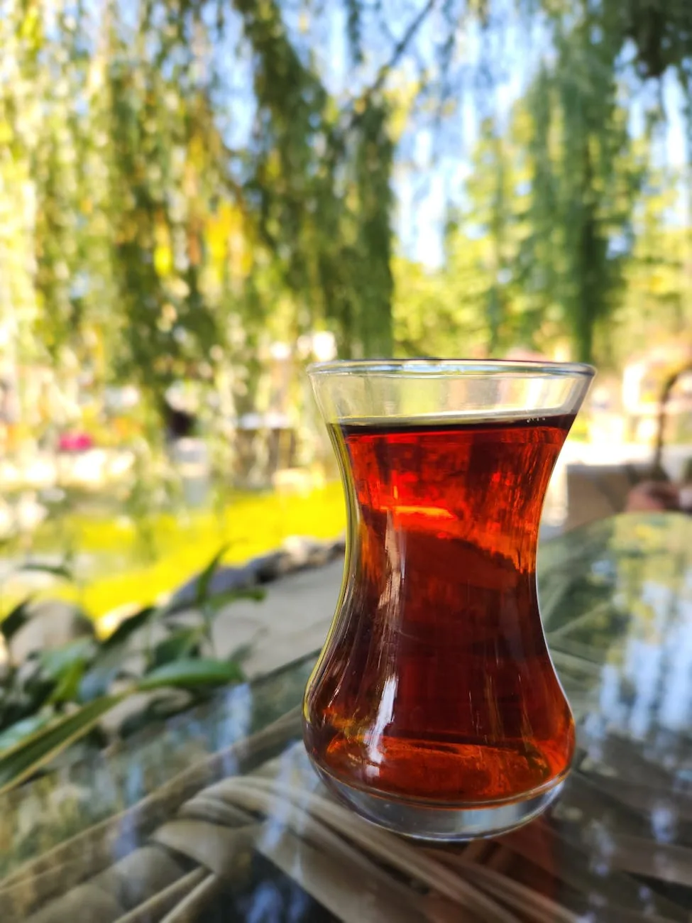 Şanlıurfa Sihirli Çay Bahçeleri