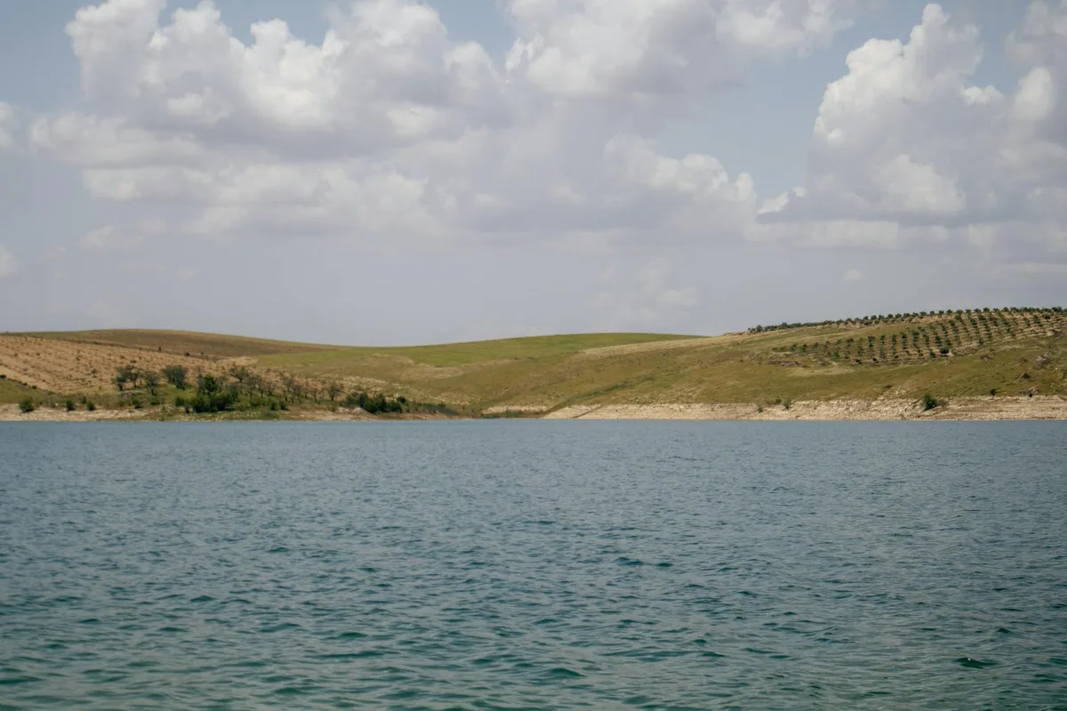 Şanlıurfa Sulak Alanları ve Kuş Gözlem Noktaları: Bozova, Ceylanpınar Doğa Rehberi