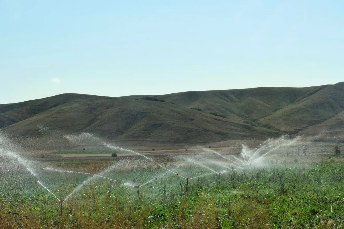 Sanlıurfa GAP’ta Sulama Devrimi: Çiftçilerin Deneyimleri(59 karakter)