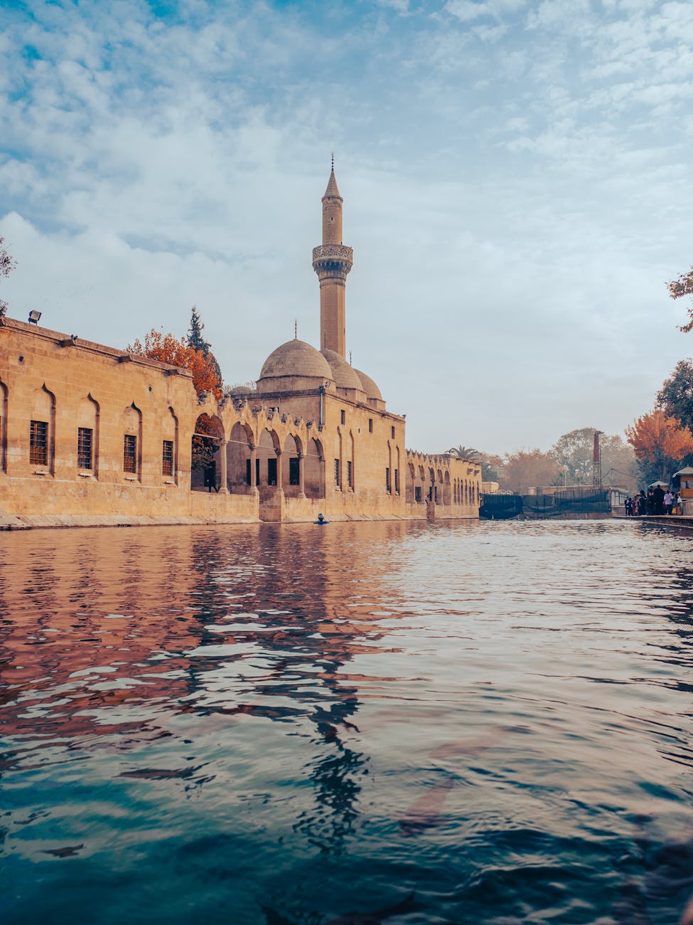 Şanlıurfa Gençleri Teknolojiyle Yeni Girişimler Yapıyor
