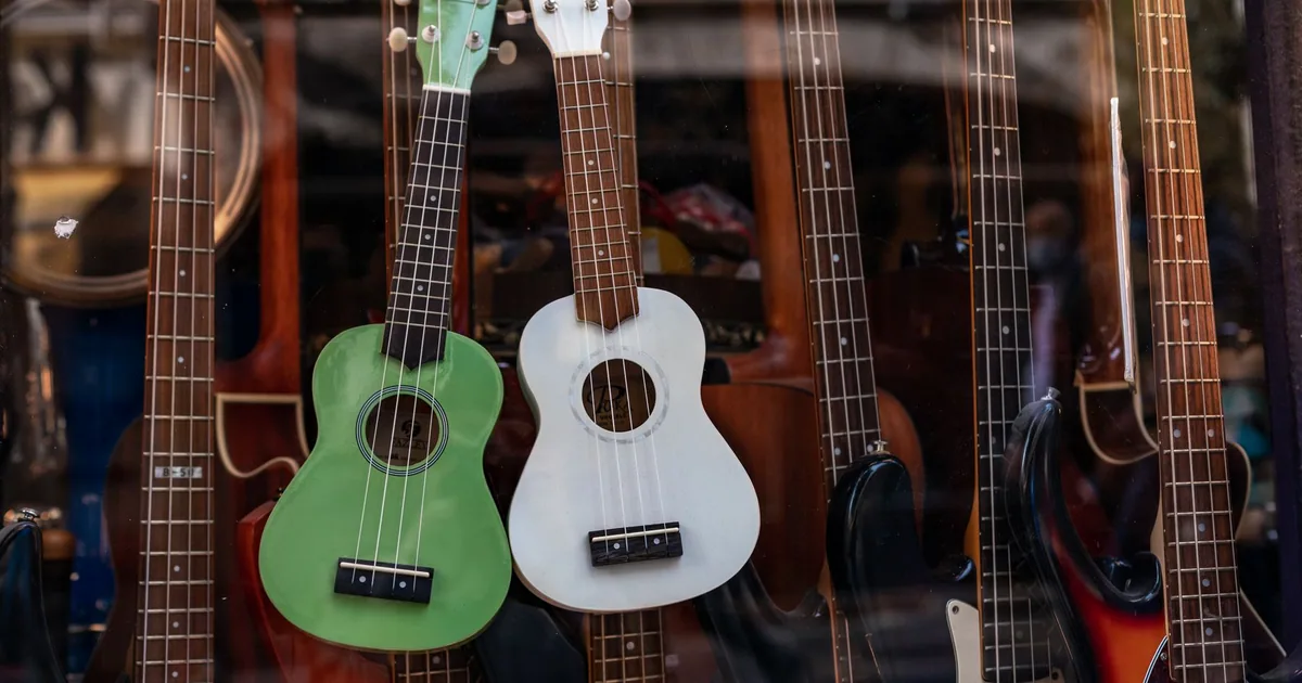 Sanliurfa Yerel Müzik Stüdyoları