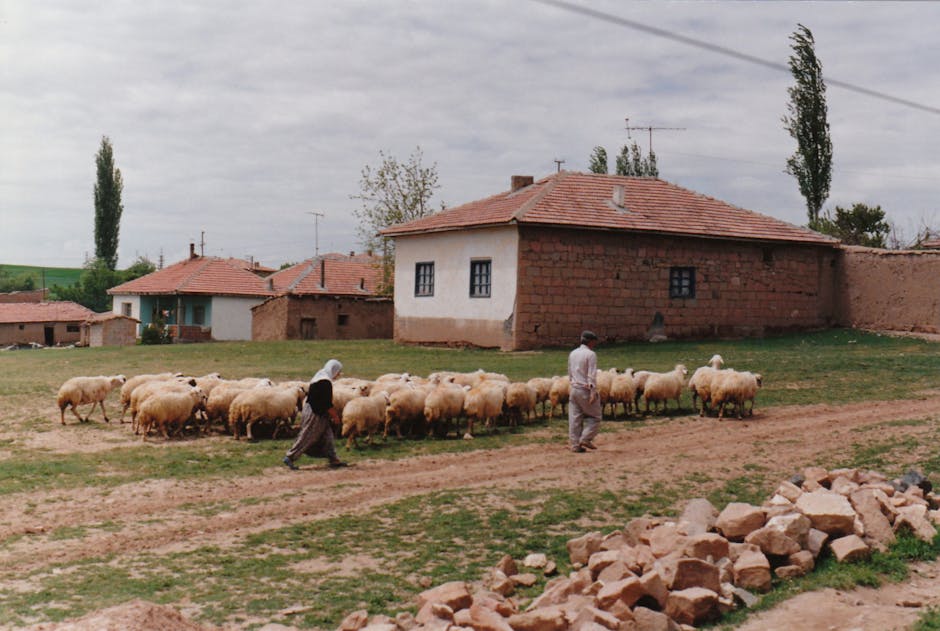 Suruç Rehberi: Tarihin ve Toprağın Buluştuğu Şanlıurfa İlçesi
