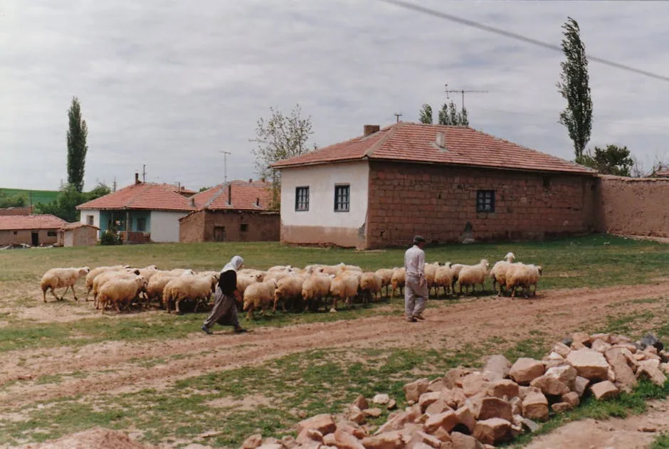 Suruç Rehberi: Tarihin ve Toprağın Buluştuğu Şanlıurfa İlçesi
