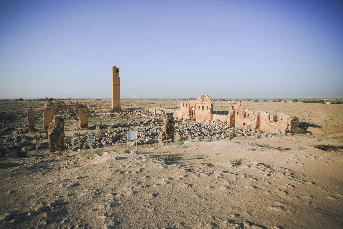 Harran'ın İlk Üniversite Mirası Anma Töreni