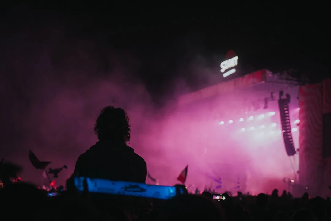 Şubat Ayı Kış Konserleri Serisi