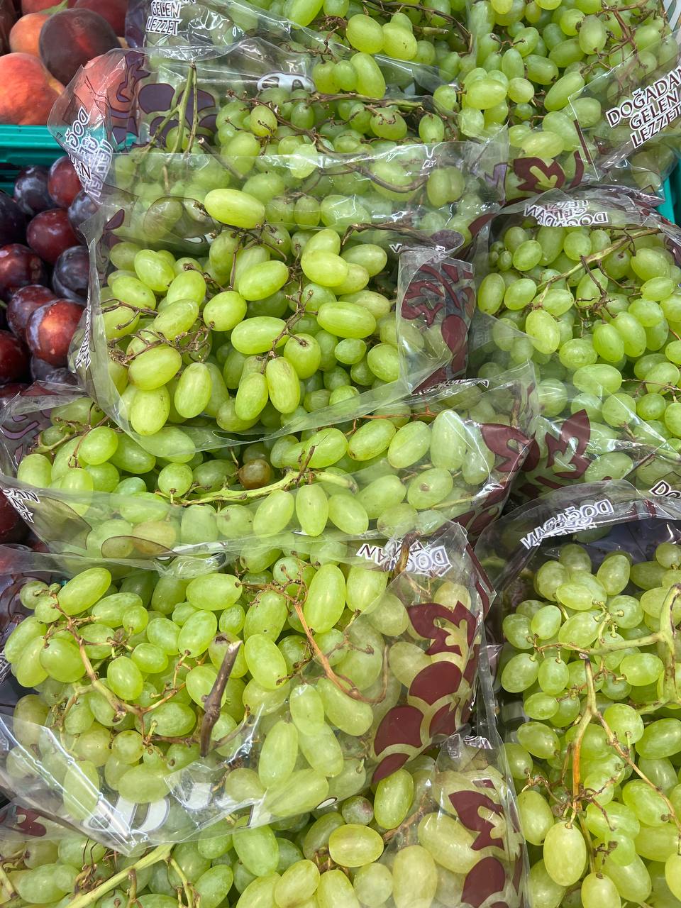 Şanlıurfa Üzüm Bağcılığı