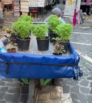 Şanlıurfa Sonbahar Hasadı