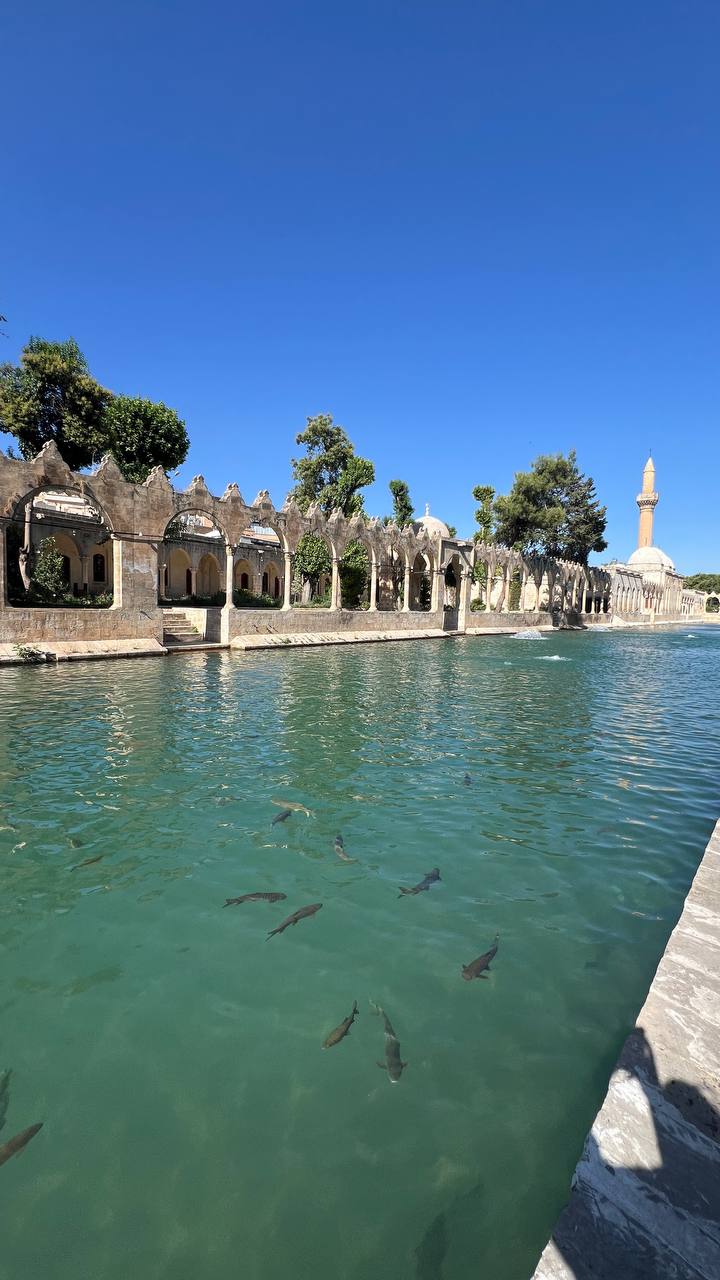 Şanlıurfa Fotoğraf Albümü