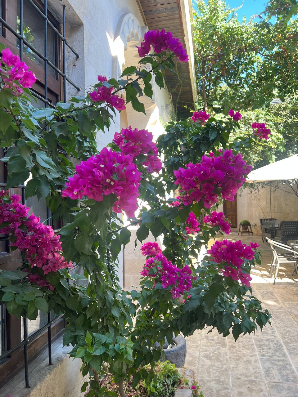 Şanlıurfa Bahar Festivalleri